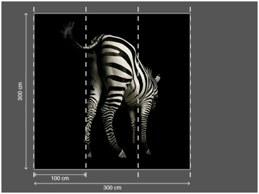 AP DIGITAL fototapetai 470039 Zebra 2