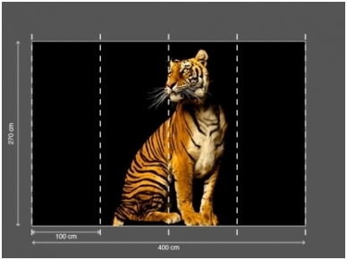 AP DIGITAL fototapetai 470038 Tiger 2