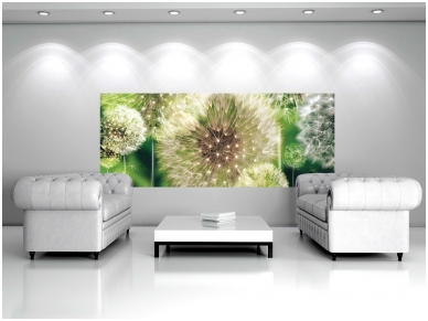 FOR WALL fototapetai 0056VE XL 2