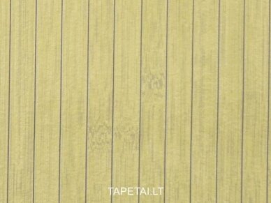 Tapetai 496604 1