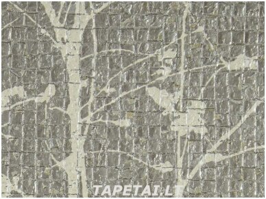 Tapetai 2905 1