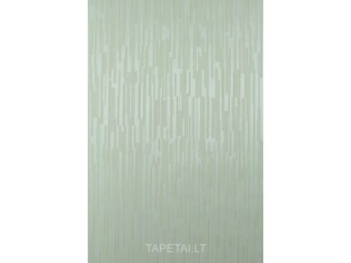 Tapetai 45308