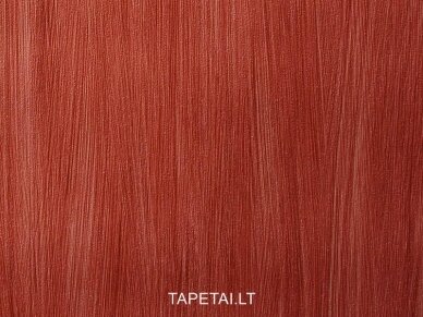 Tapetai 495197 1