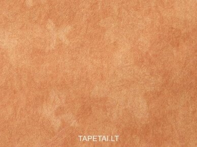 Tapetai 5523-58 1