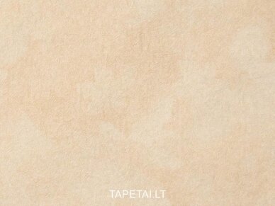 Tapetai 5523-72 1