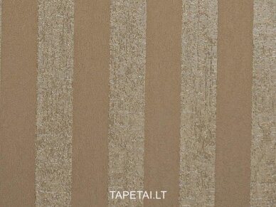 Tapetai 6163-33 1