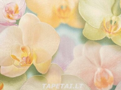 Tapetai 71421-35 1