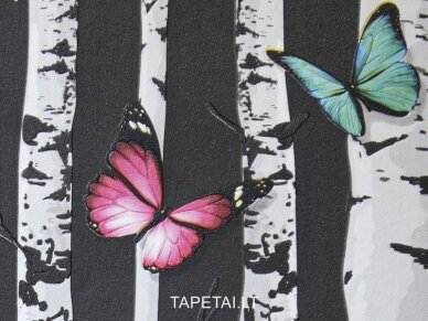 Tapetai 74309 1