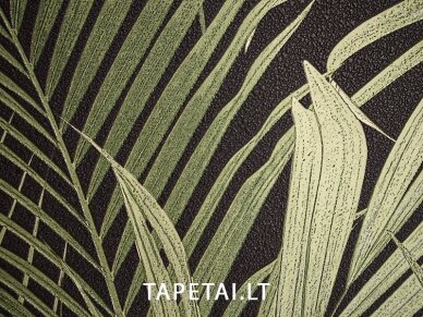 Tapetai 835DN36 1